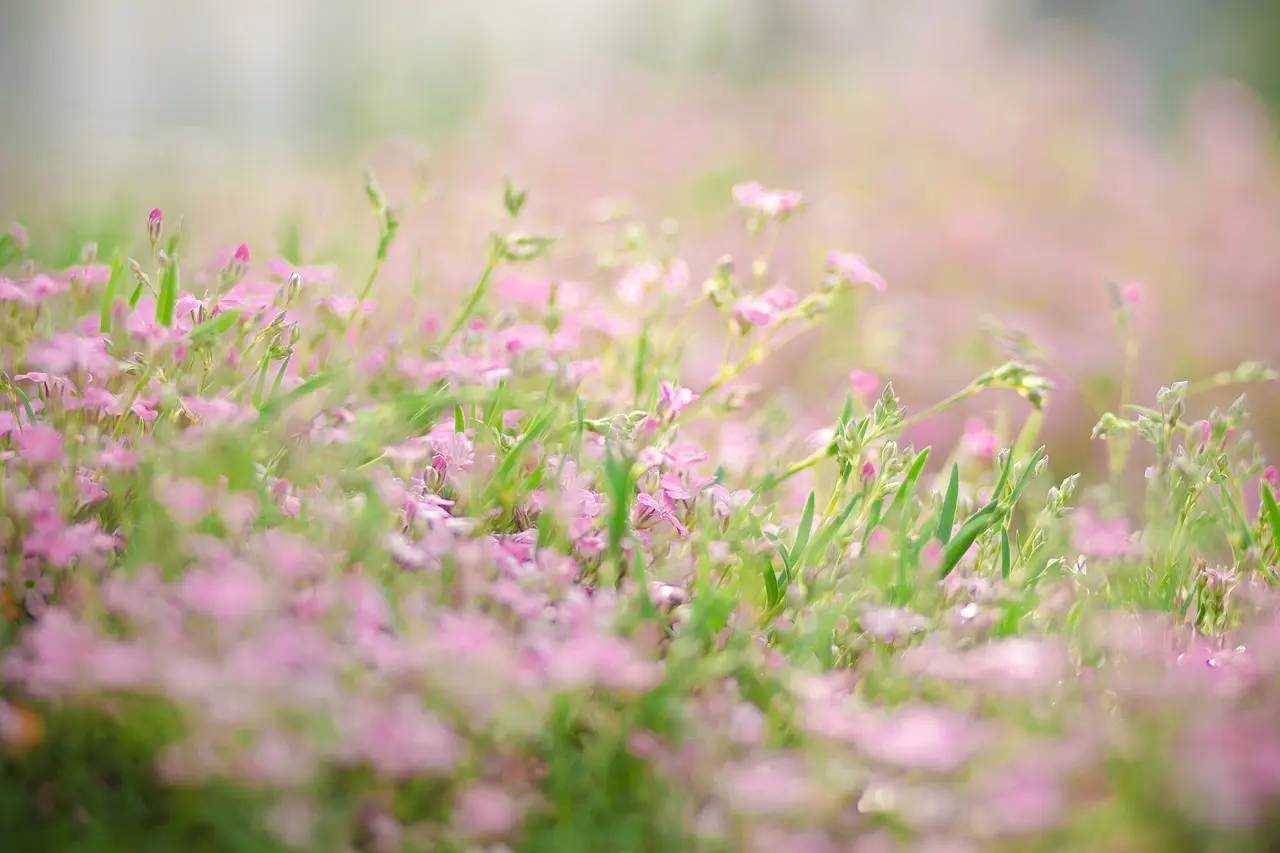 Små rum, store løsninger: Indretningstricks der giver mere plads